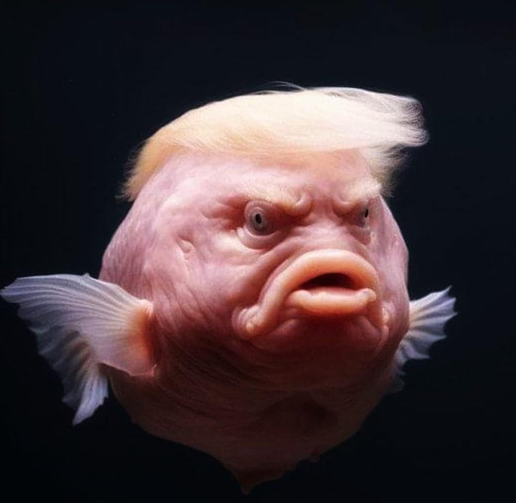 Infamous fish