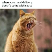 MadCatChat post