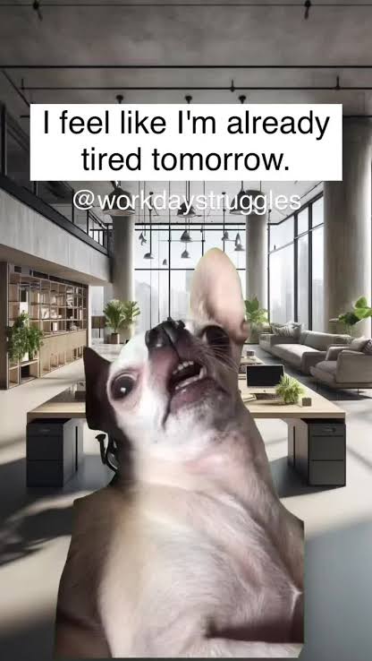 MadCatChat post
