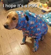 MadCatChat post