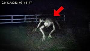 Can I Pet That DAWWWWWWWWWWWWWWWWWWWWWWWWWWGGGGGGGGGGGGG
