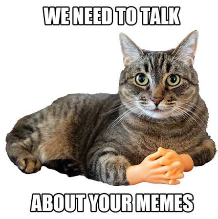 meow