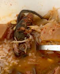 Covid,flu,and HANTAVIRUS too
